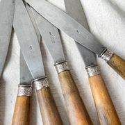 6 Vintage Horn Knives Silver Steel Blade LEPINE A LYON France 19th Century