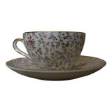 Villeroy and Boch Saar Cup and Saucer
