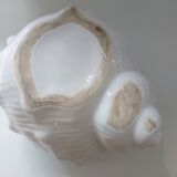 Shell pot cover
