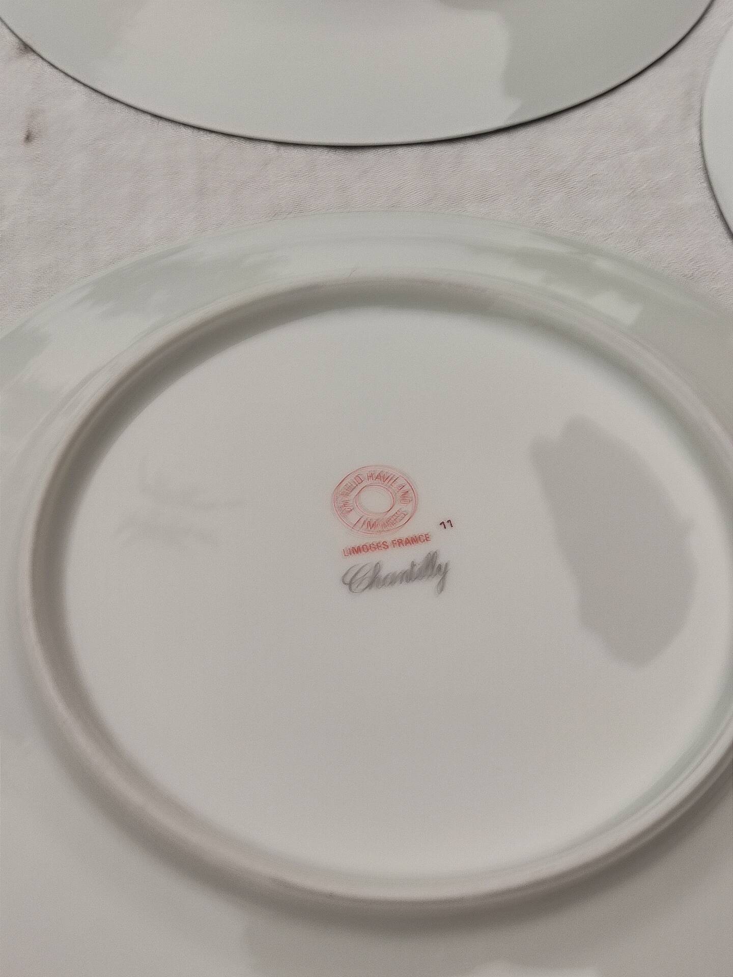 10 flat plates in Limoges porcelain - Haviland