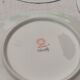 10 flat plates in Limoges porcelain - Haviland