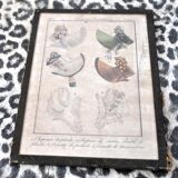 Fashion engraving under glass "Parisian costumes 1694" from 1817 - Hats caps cornettes