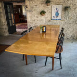 Scandinavian table teak and lemon tree Italian extensions