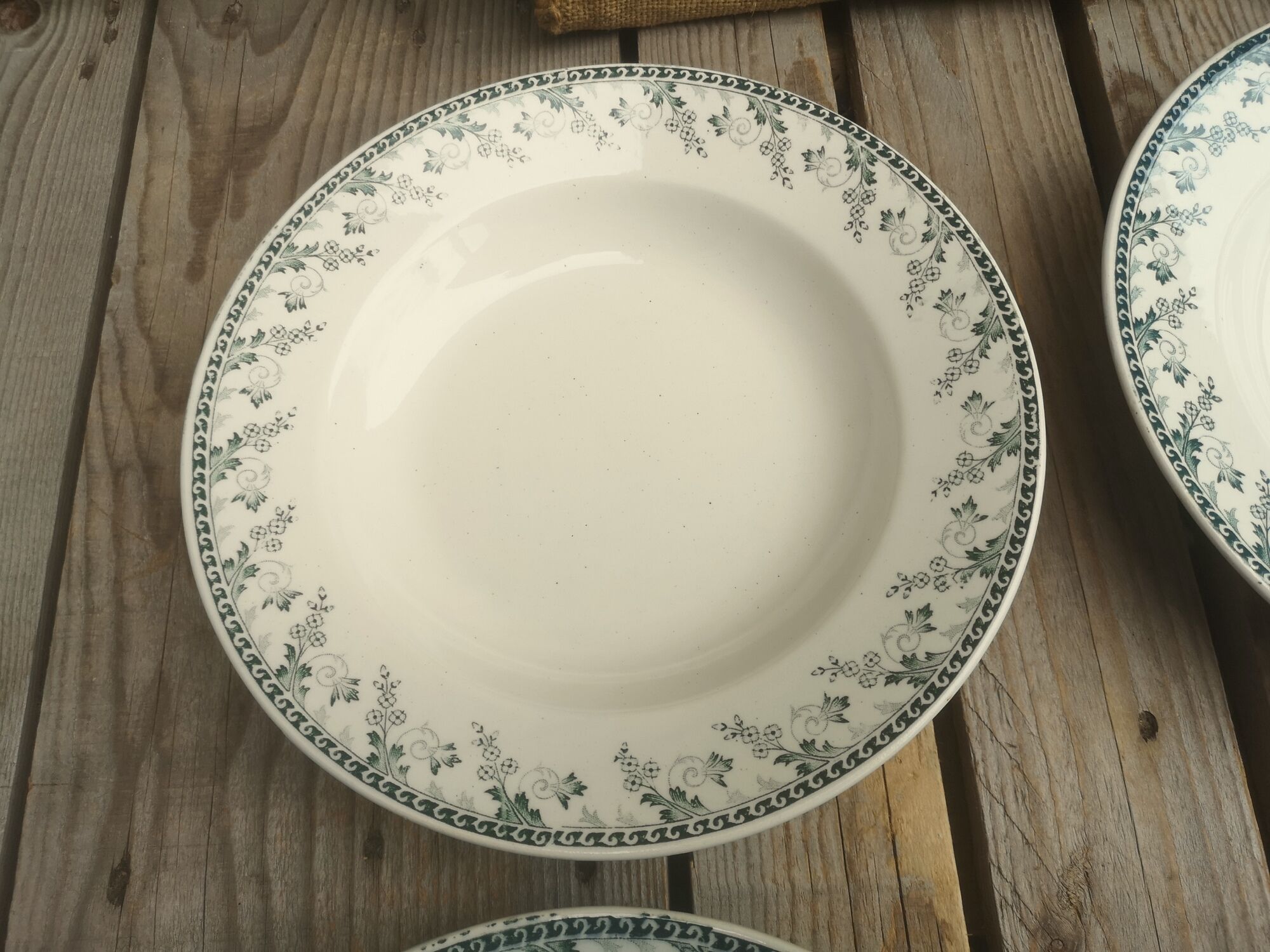 4 Hollow plates Terre de Fer in Opaque Porcelain from Gien Collection Montigny