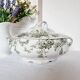Soupière en porcelaine anglaise Doulton Brurslem avec motif de rose et Waratah, 1920