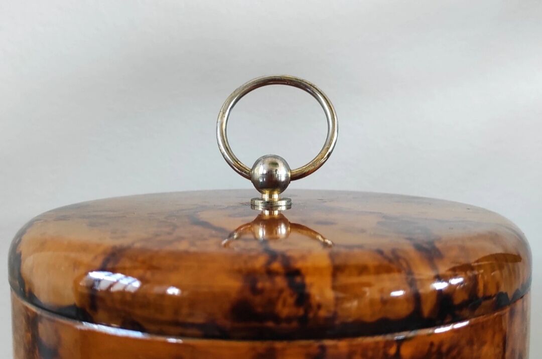 Vintage ice bucket - Turtle shell design