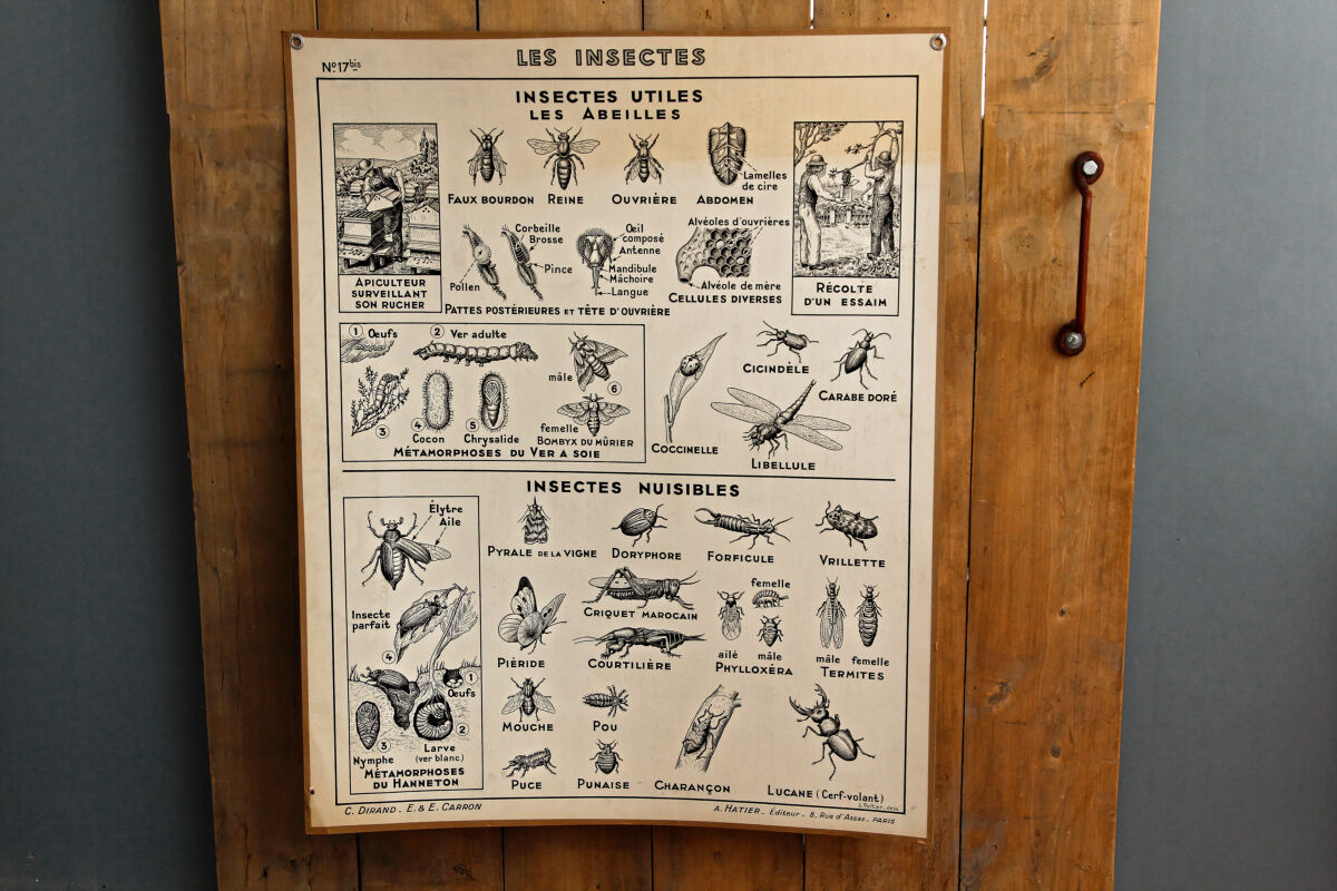 Hatier educational poster 1950