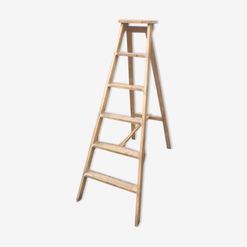 Old stepladder