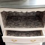 Bibus vintage bookcase