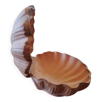 Raw cut scallop shell