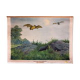 Affiche "Taupe et chauve-souris" grille éducative Antique lithographie de 1910