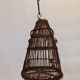 Iron bird cage