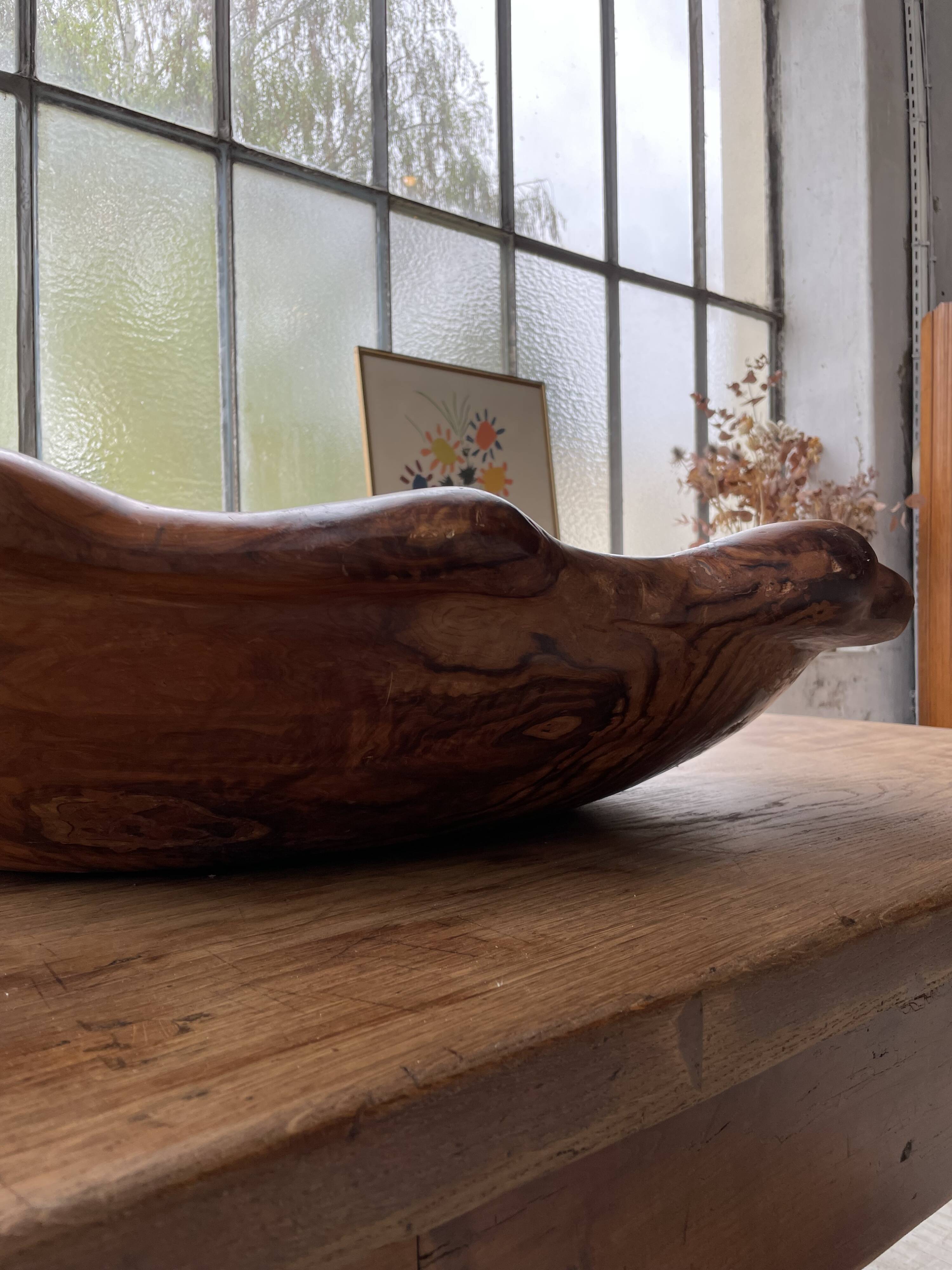 XL thuja root wooden dish