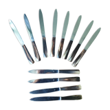 Service 12 horn handle knives
