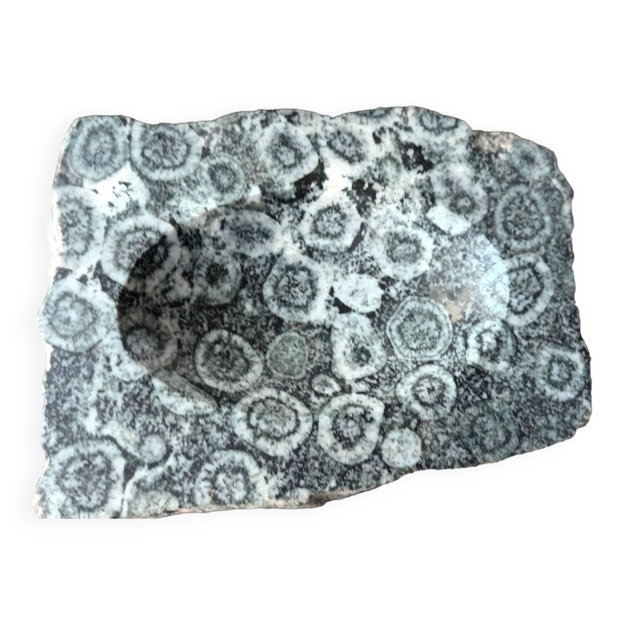 Orbicular diorite ashtray