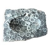 Orbicular diorite ashtray