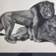 Print after Gorges Guyot, "couple of Lions", 1937, framed, 41 x 32 cm