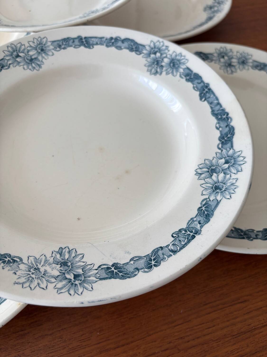 Set of 6 semi-deep plates in ironstone Longchamp model Denise.