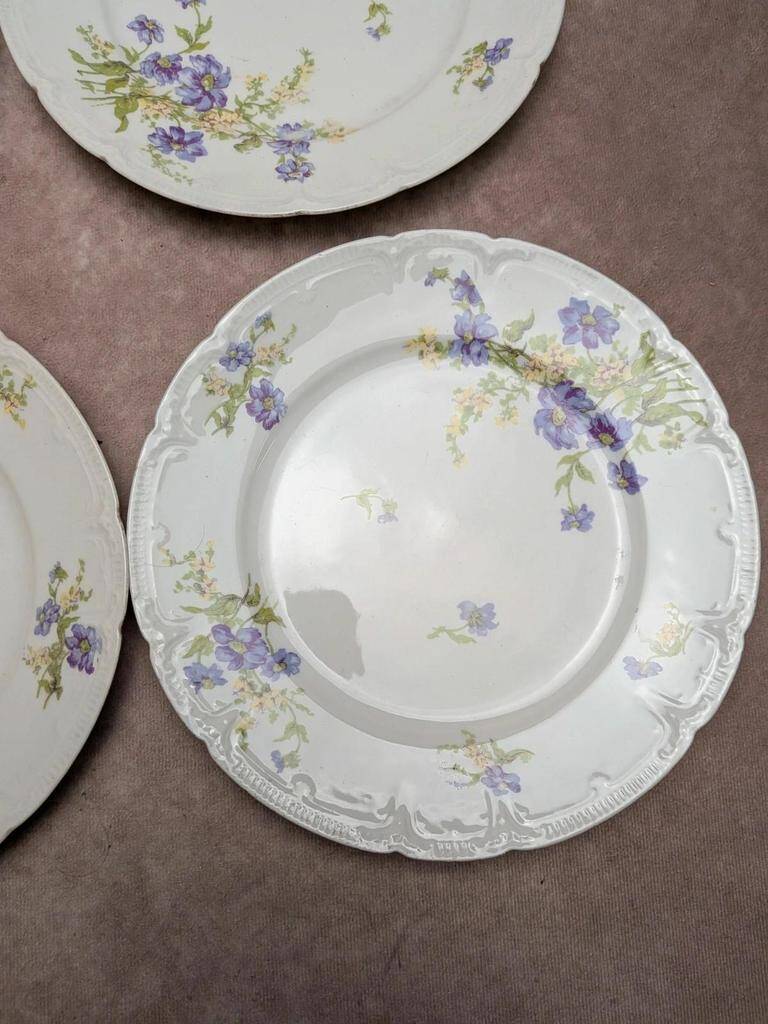 Set of 12 dessert plates in Limoges porcelain GDA France – floral design