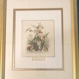 Animated Flowers Frame by JJ Grandville - Water Arrow