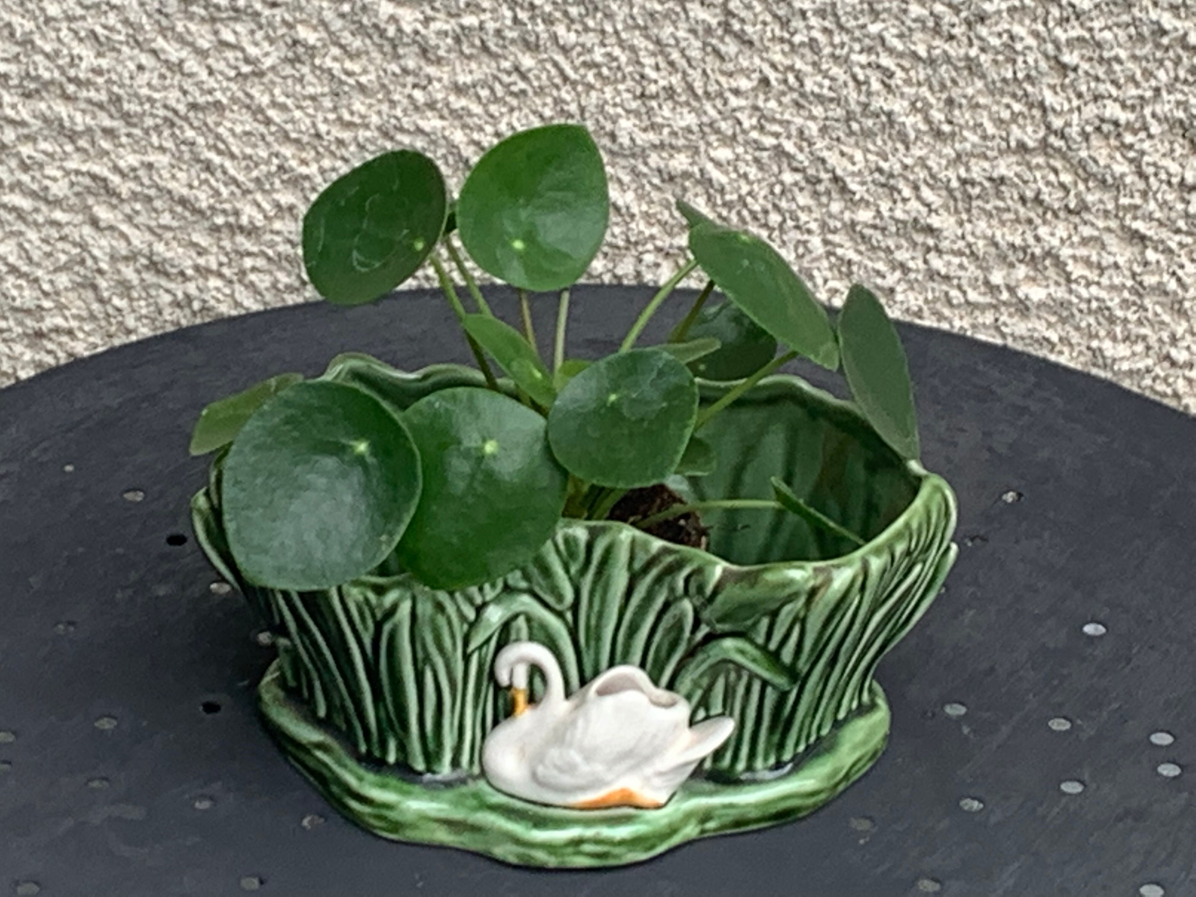 Pot cover in ceramic slurry glazed green pattern foliage and swan made in england numbered