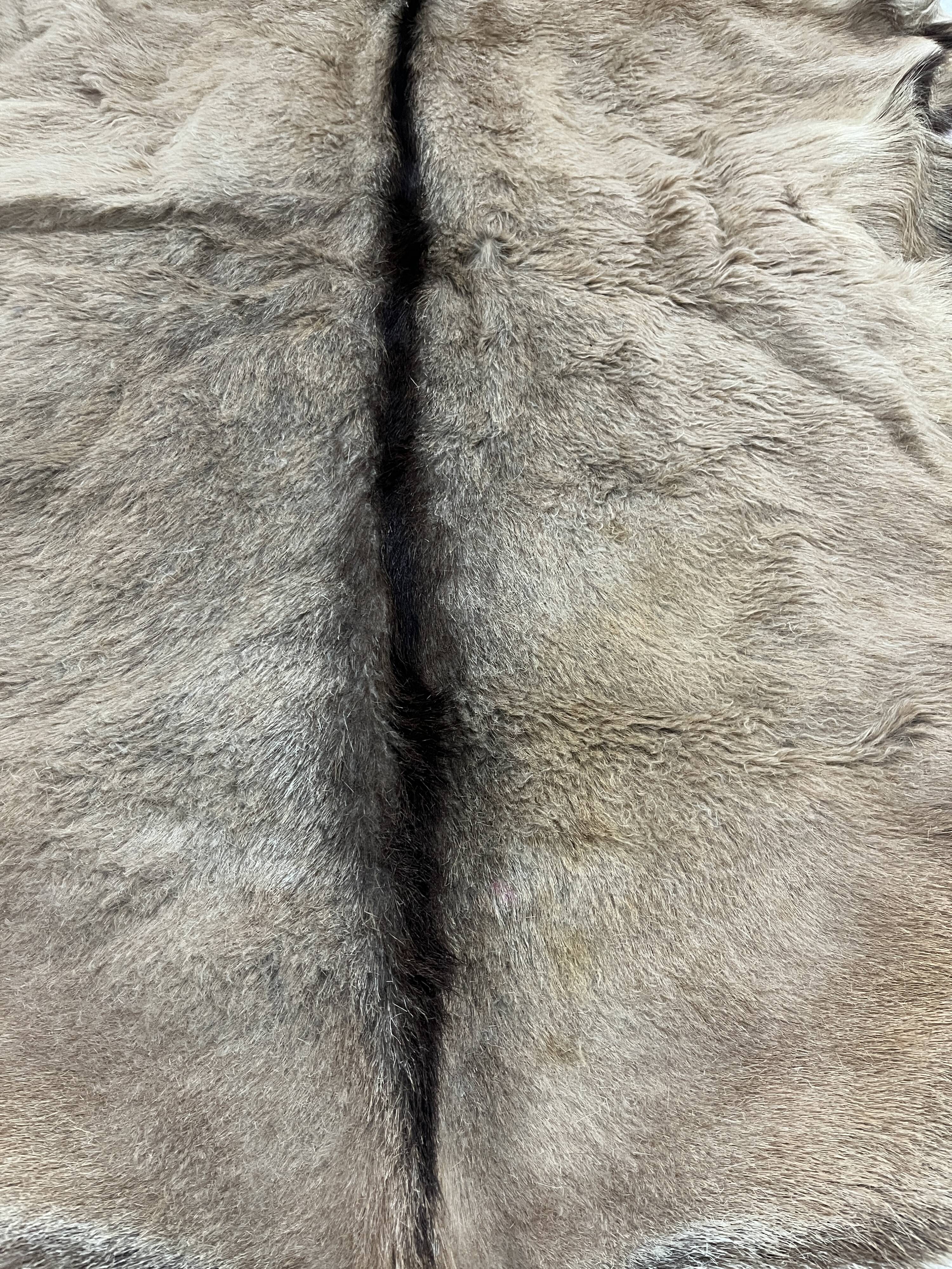 Goat skin rug, 20th century.