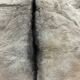 Goat skin rug, 20th century.