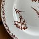 Mismatched set of 6 old flat plates