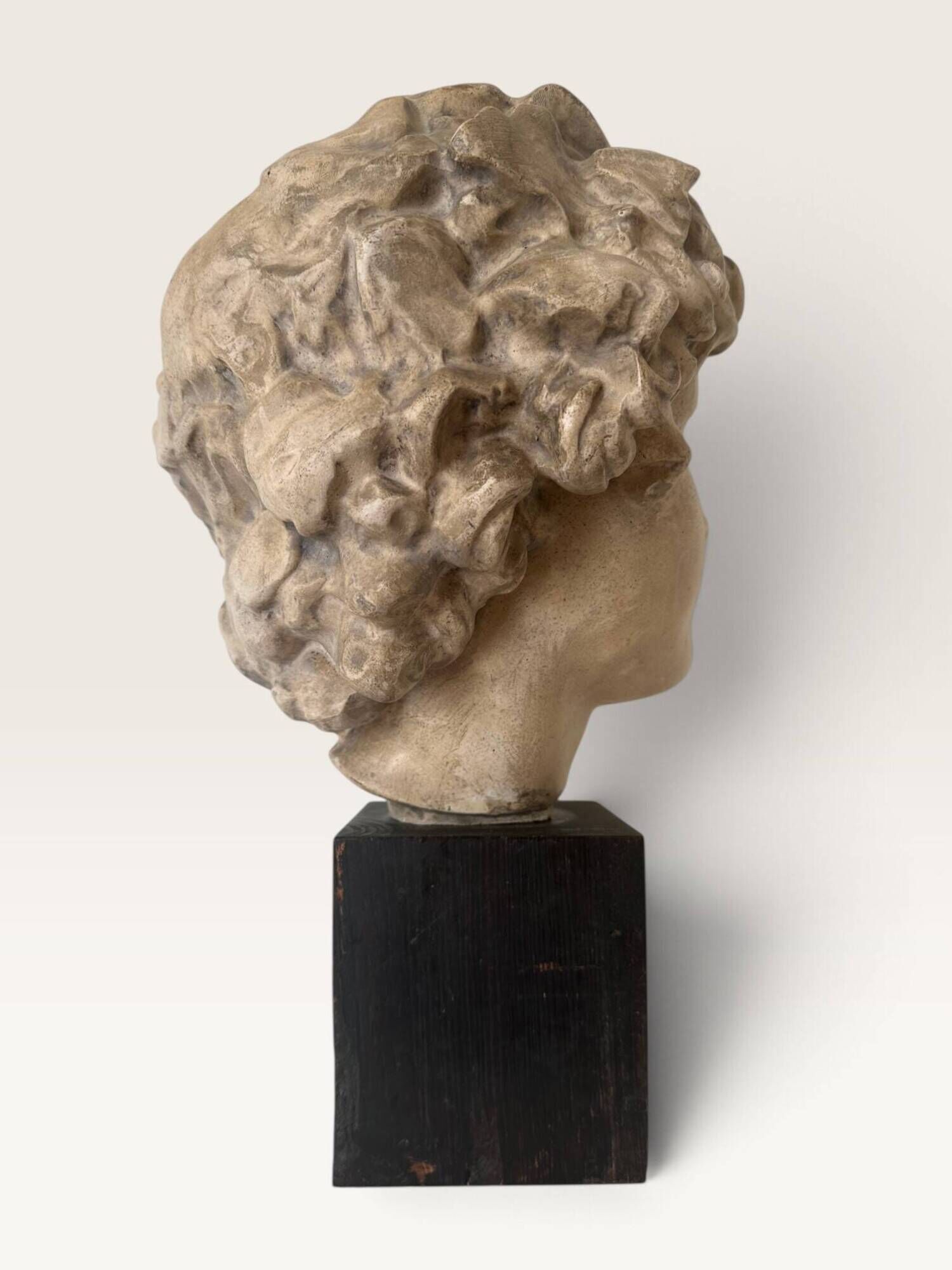 Plaster bust on a wooden base