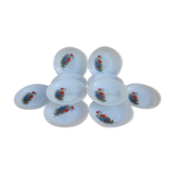 Set of 10 plates flowers of the fields - Arcopal - 70s - Vintage authentic