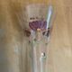 Series 9 Champagne Flutes Fine Glass Hand-Painted Floral Decor Vintage #E3