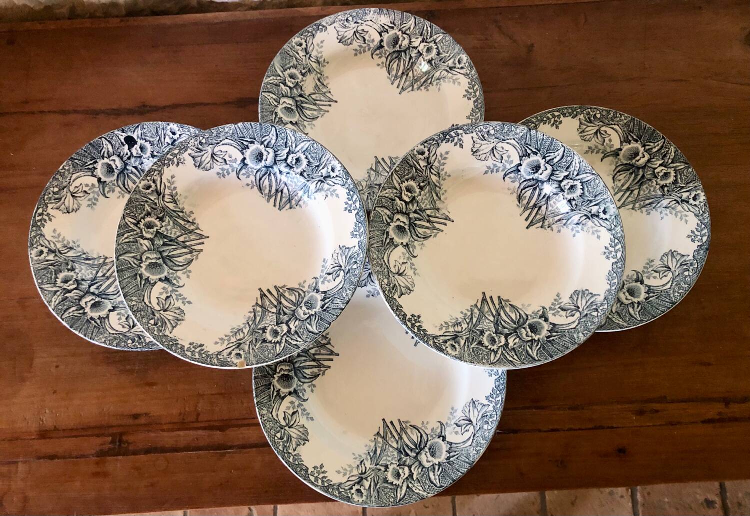 Narcisse Saint Amand ironstone deep plates