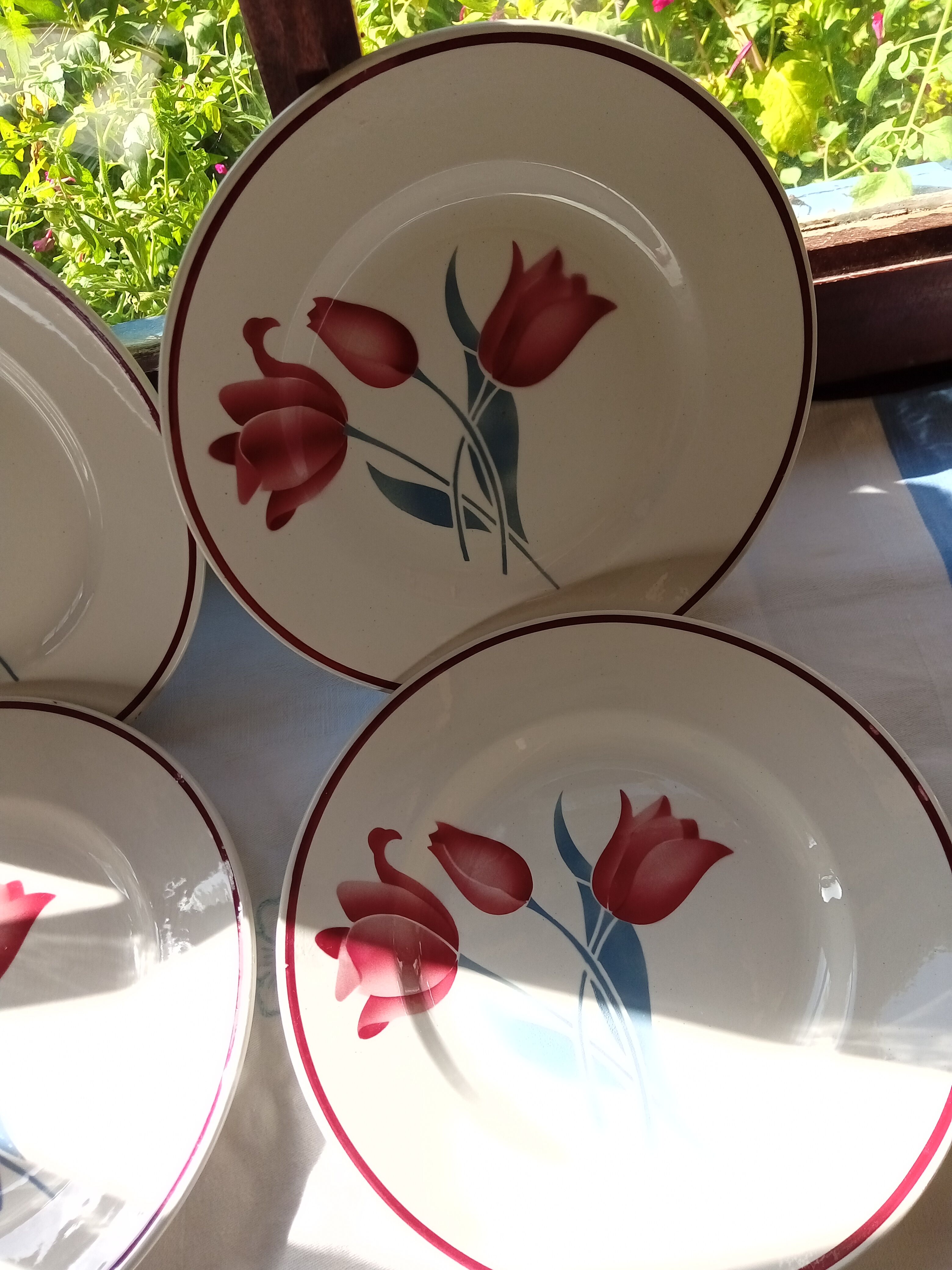 6 Terre de Fer flat plates