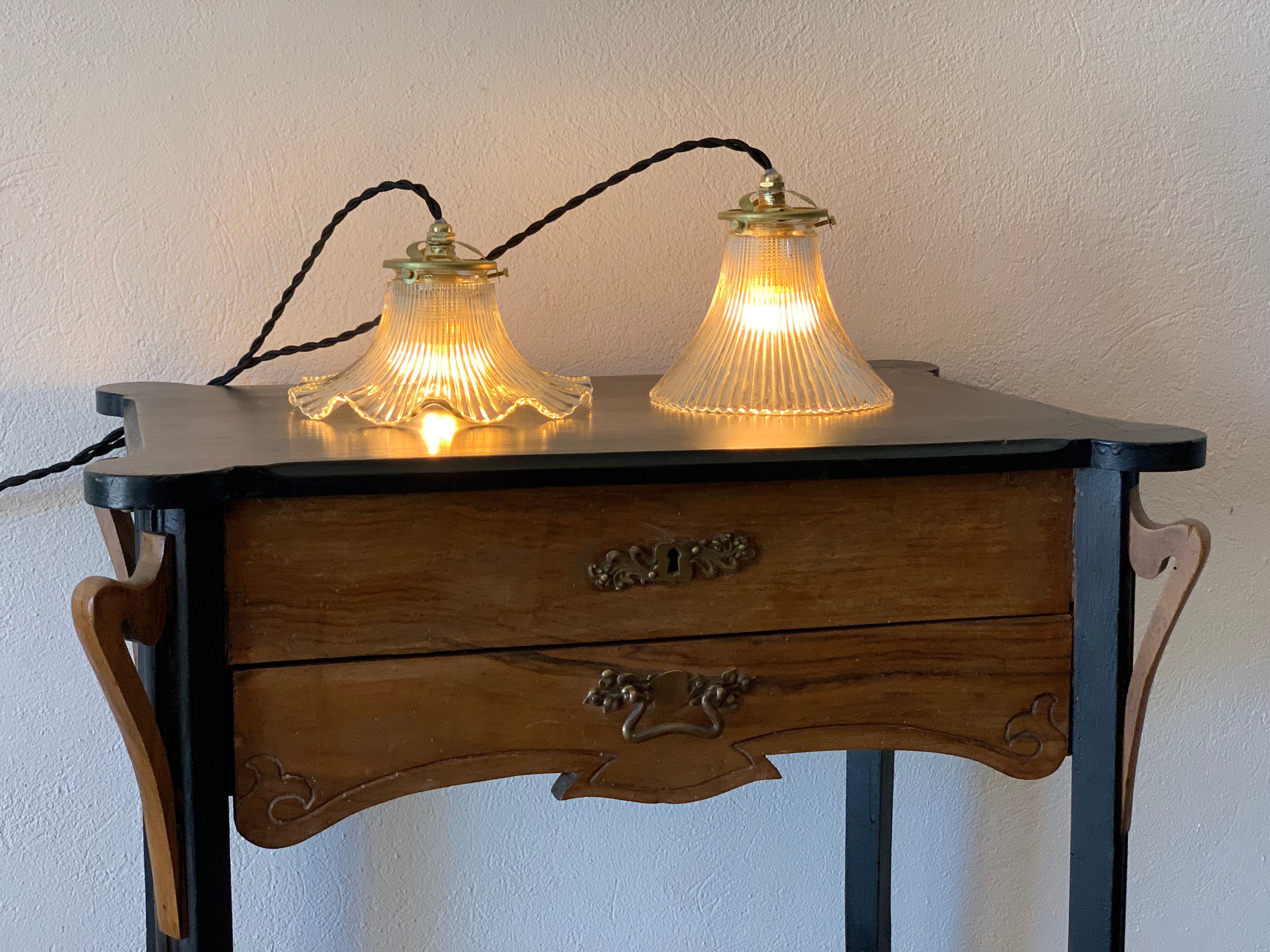 Duo lamps Holophane floral style