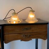 Duo lamps Holophane floral style