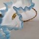 Suspension in opaline