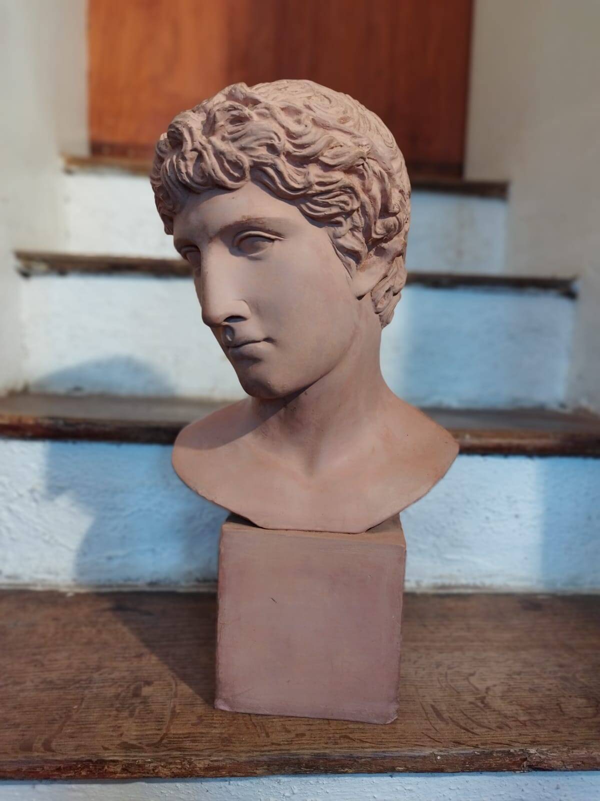 Antique terracotta bust
