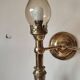 2-light wall light in brass and glass tulips