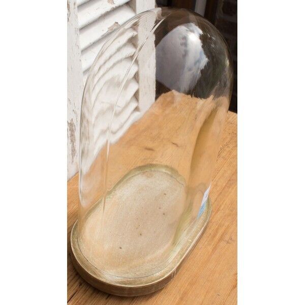 Oval glass globe 27 cm high