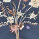 Herbarium ancient natural composition in flower and grass under glass