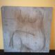 Table oil on women's bare wood