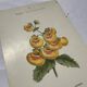 Gravure botanique 1800 double face planche naturaliste fleur de France