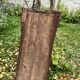 Corner mirror - wood and gilded brass - Napoleon style