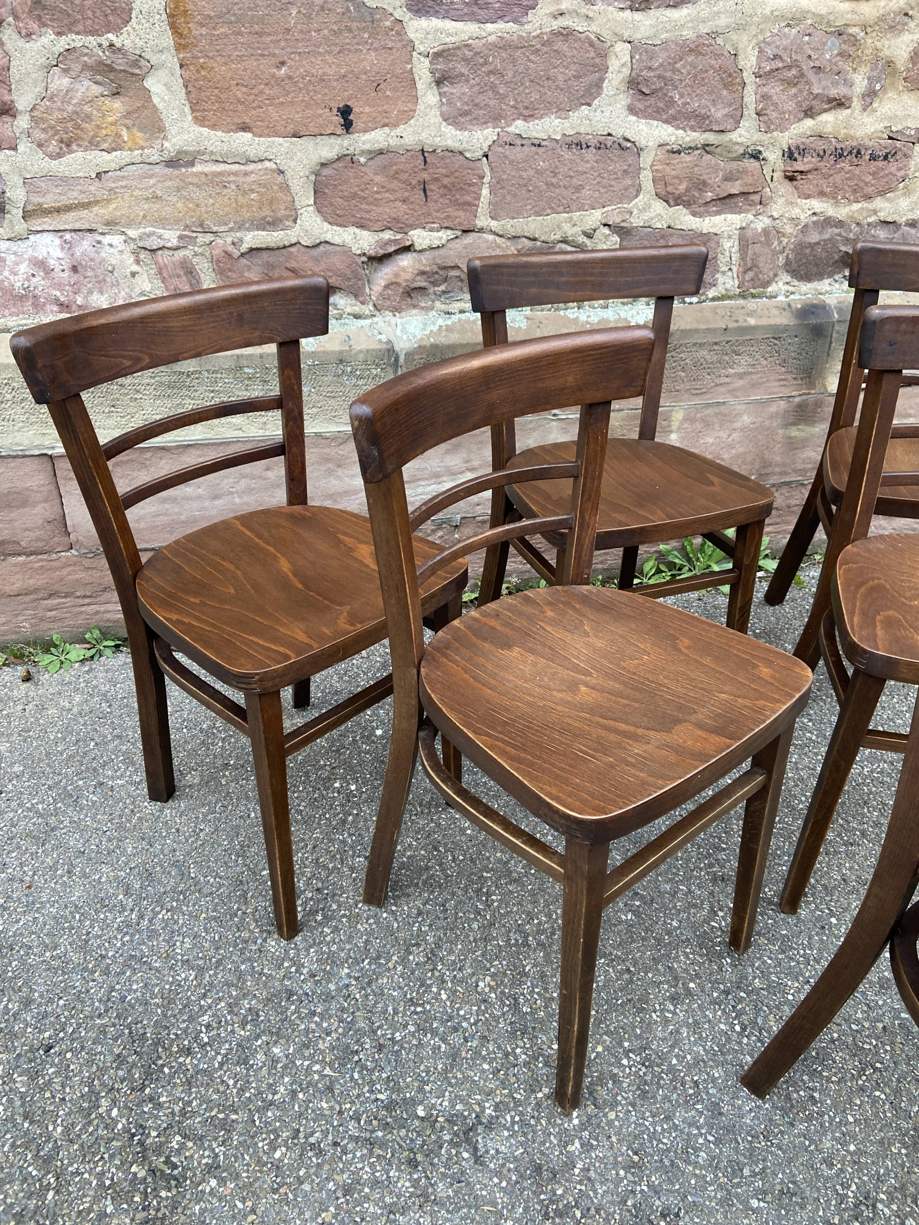 6 Viennese bistro chairs in curved wood, 1960