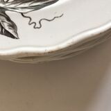 Set of 9 plates Passion flower grey 1880 Brown Westhead Moore 'Co