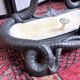 Art Nouveau cast iron coat rack