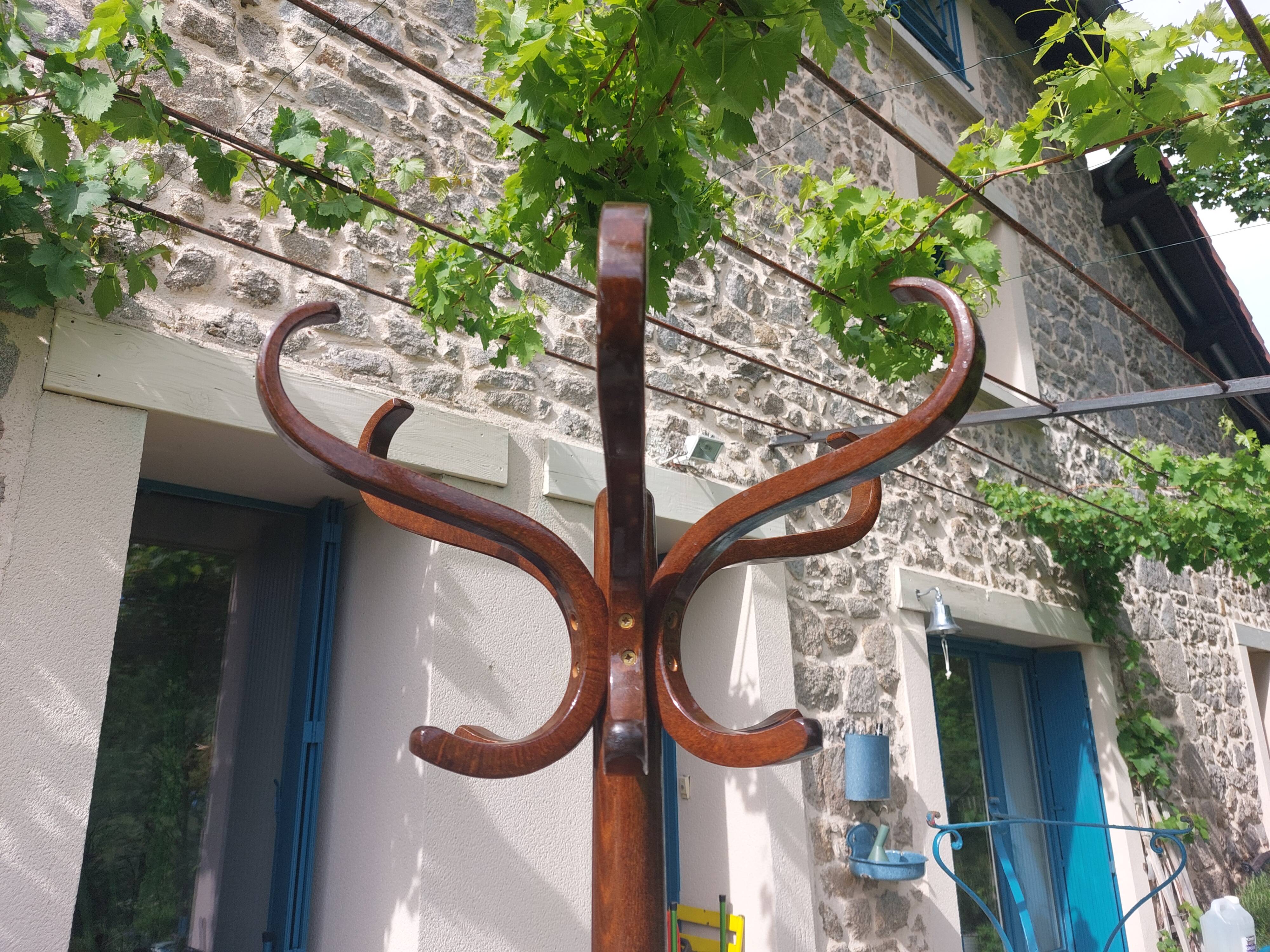 dark-coloured wooden coat rack parrot