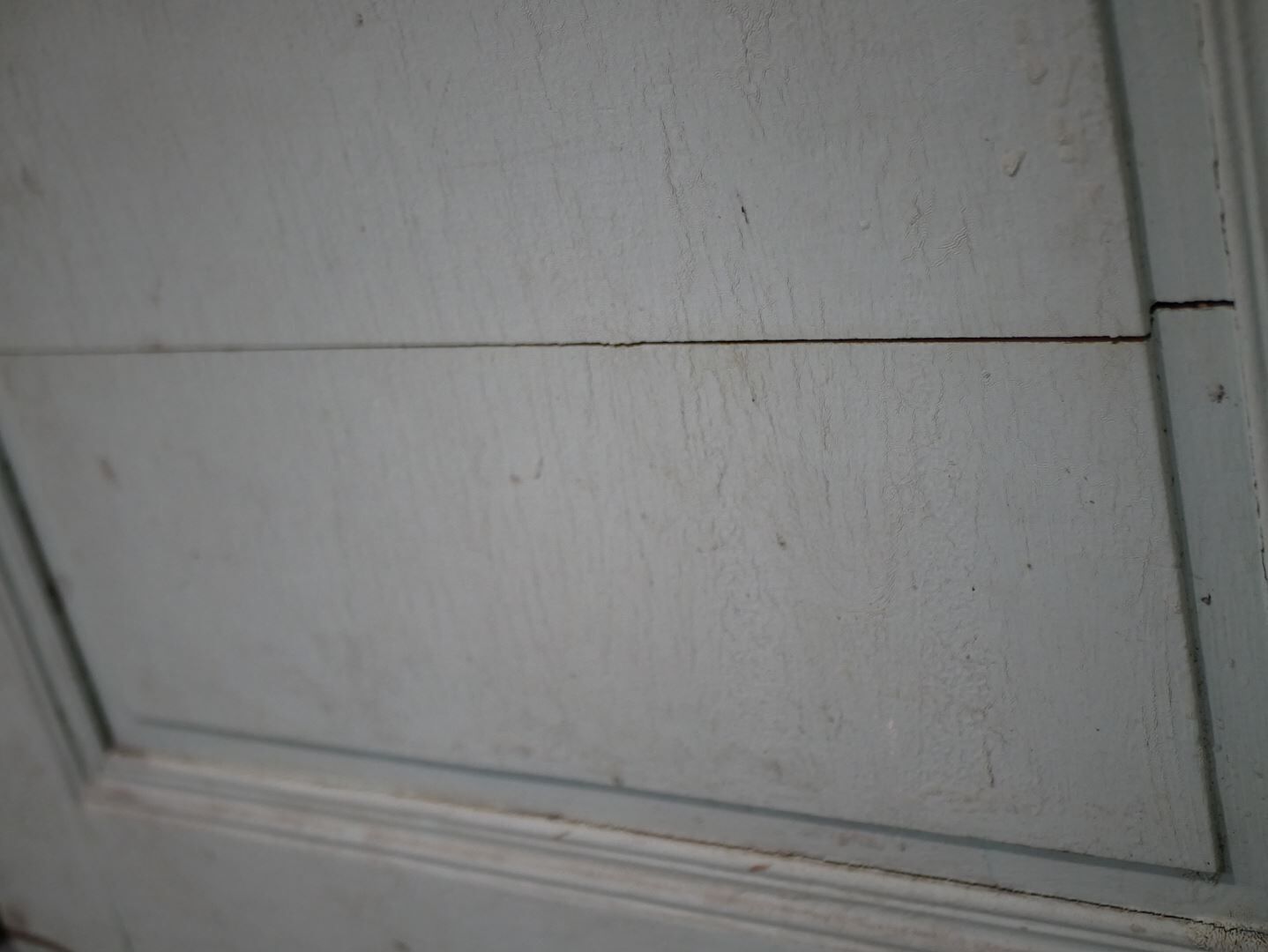Antique painted wooden doors