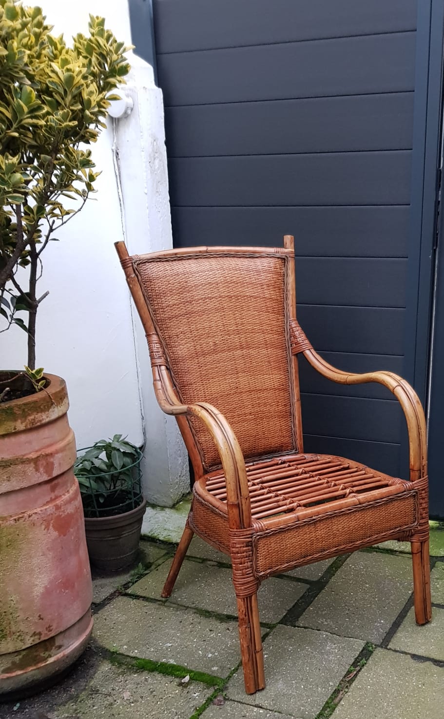 1950 rattan chair