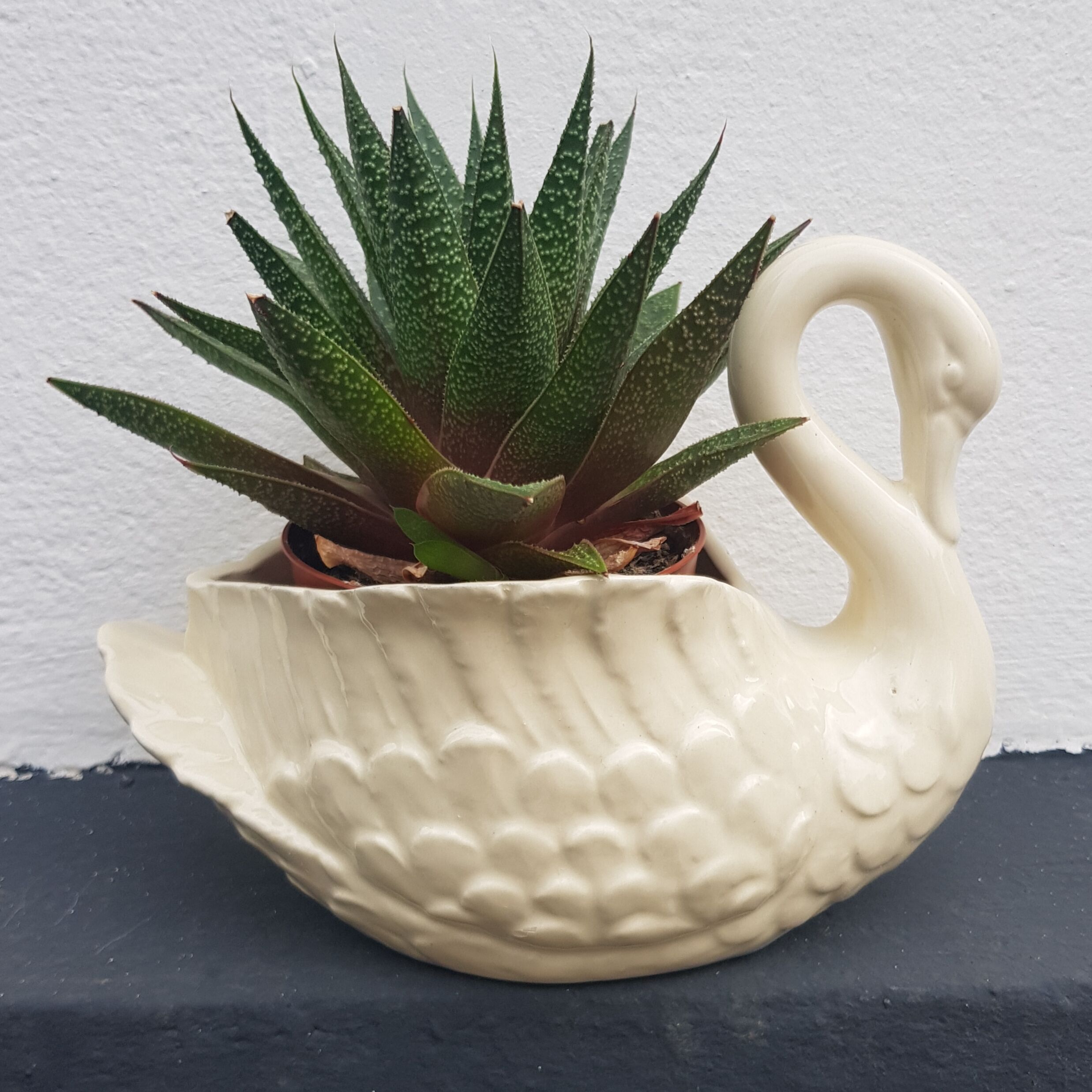 Pot Swan